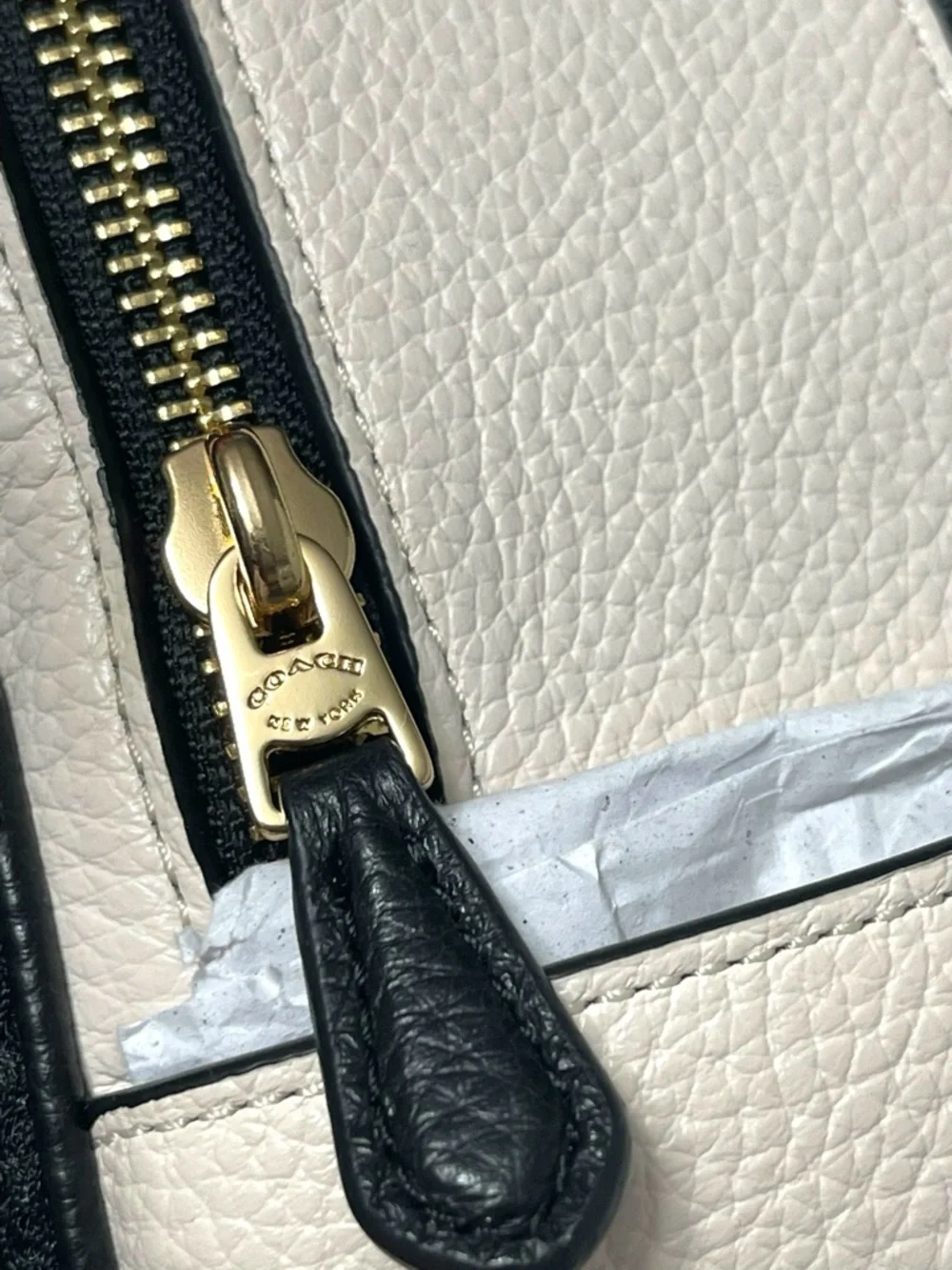 NWT COACH x DISNEY Cruella Motif Mini Pebbled Leather Court Backpack Bag